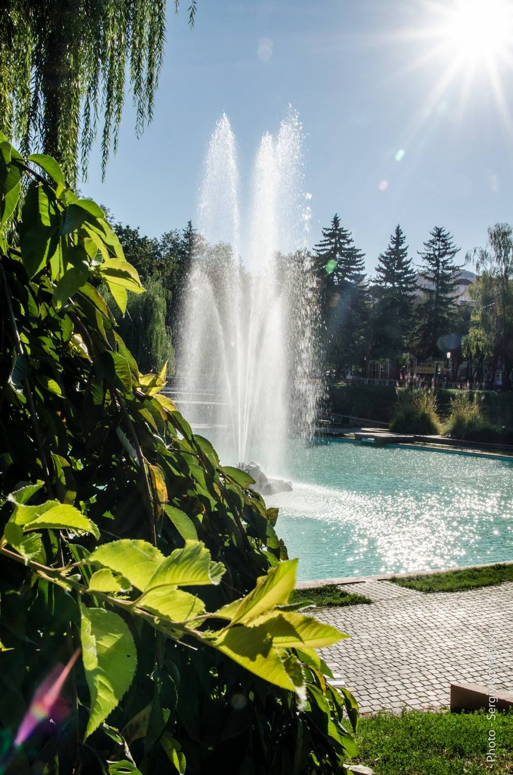 52816626_802220670147204_3006887980951404544_n (2)