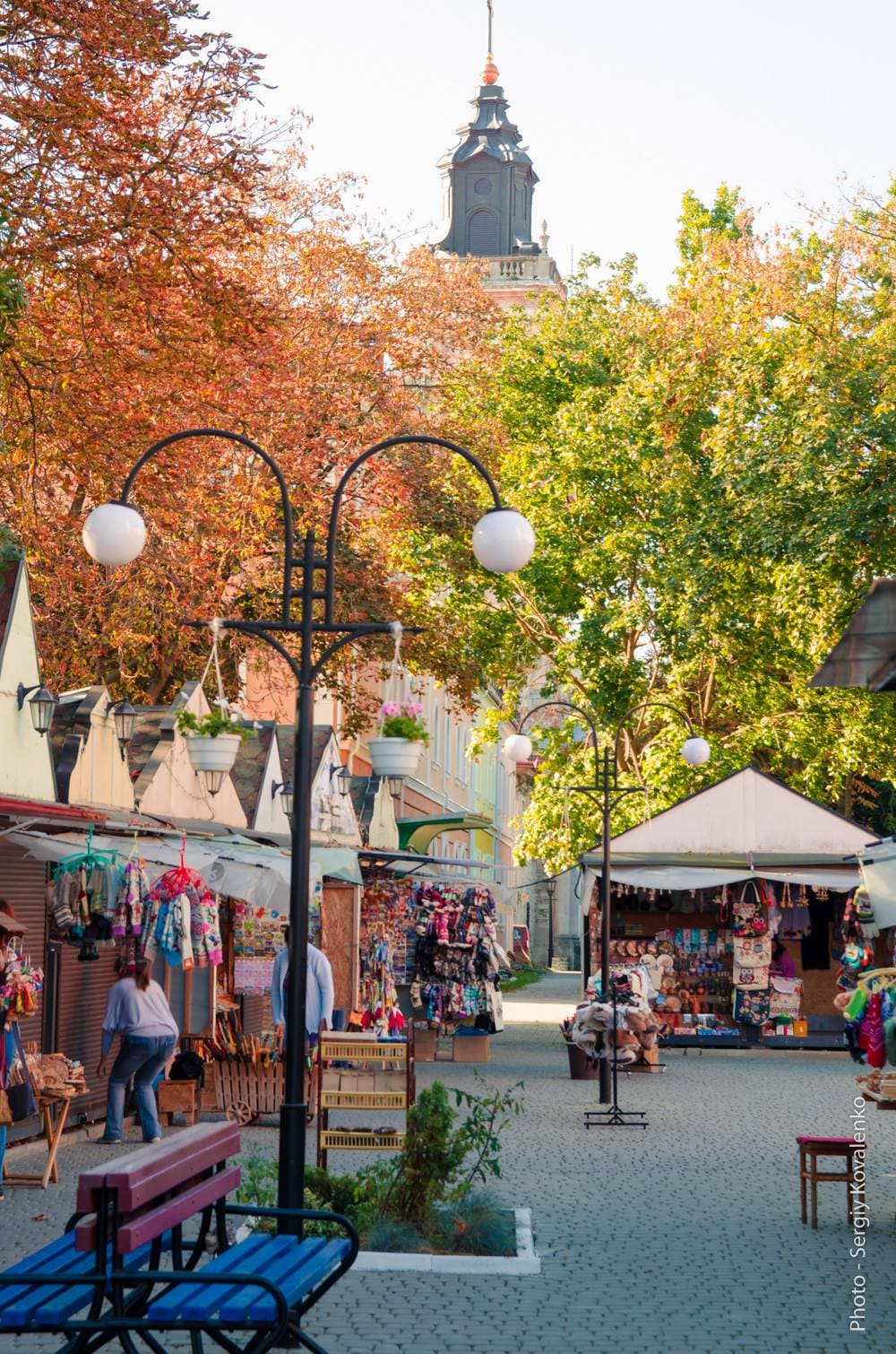 52663180_802227806813157_8968781171710230528_n (2)